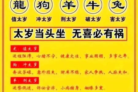 测试你几岁有什么命：揭示生命中的秘密与命运的探讨