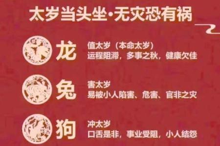 探秘骨重4.5的命理：解读命运与人生的奥秘