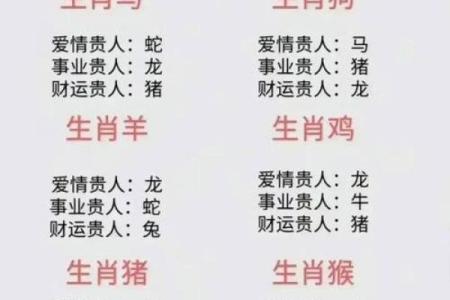 1998年虎年命理解析：解读生肖与五行的深厚缘分