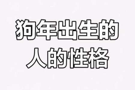 属狗之命：性格解析与生活智慧，以犬之忠诚为蓝本的人生哲学