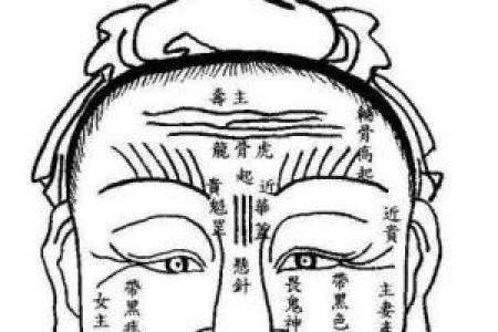 额头的命运：揭秘不同额头形状所蕴含的性格与命理