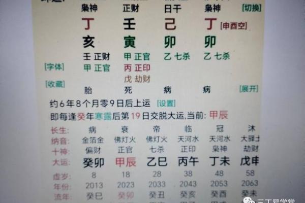 探寻乙巳桃花命格的奥秘：爱与财富的双重交响曲