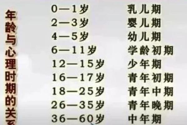 1997年农历11月出生的孩子：解读命运与性格的奥秘