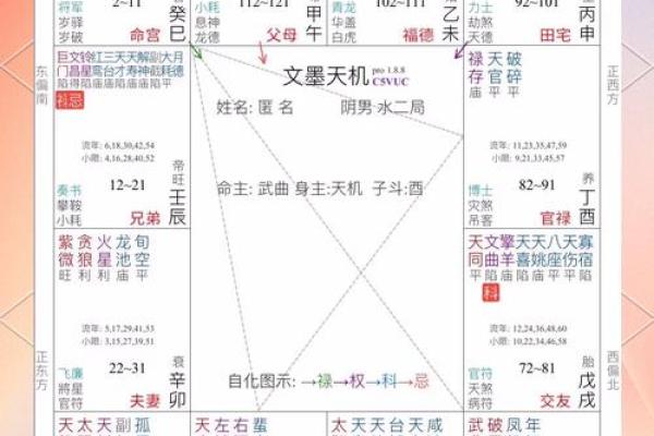 发财之命解析：解锁旺格局的秘密，让好运源源不断！