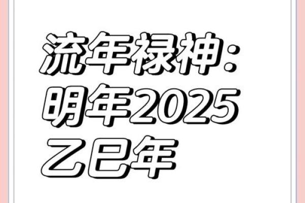 命里带福禄，福气与财富的秘诀探究
