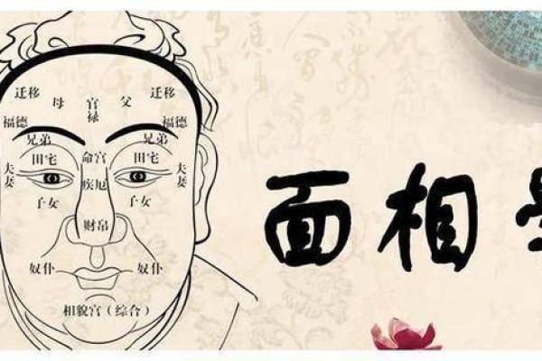 探索天理命理学之父的智慧与启示，揭示人生的奥秘与精彩！