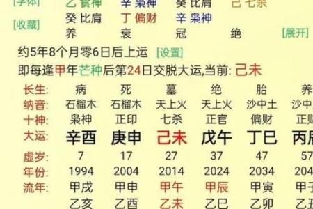 探寻乙巳桃花命格的奥秘：爱与财富的双重交响曲