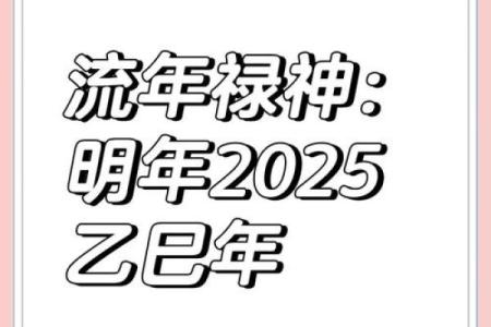 命里带福禄，福气与财富的秘诀探究