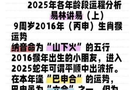 2003年猴年出生者的命运解析：五行与性格的深度剖析