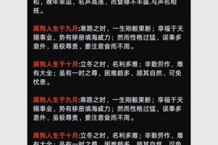 卯时出生的狗年命理解析：揭开命运的神秘面纱