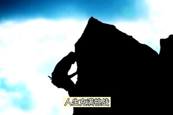 1992年出生的虎命，人生的辉煌与挑战之路