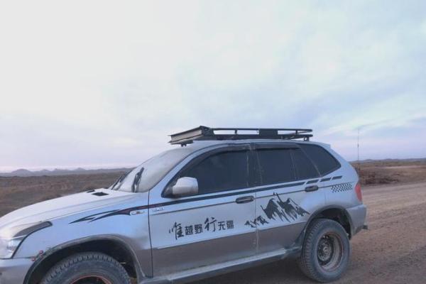 命king：探索生命的力量与自我认知之旅