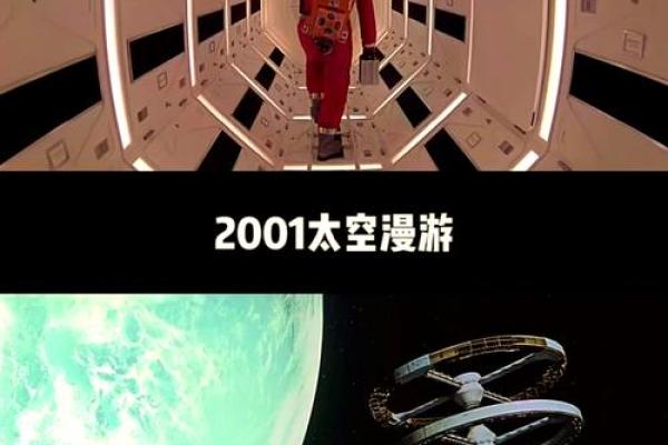 探索命运的奥秘：2001年11月出生者的独特人生之路