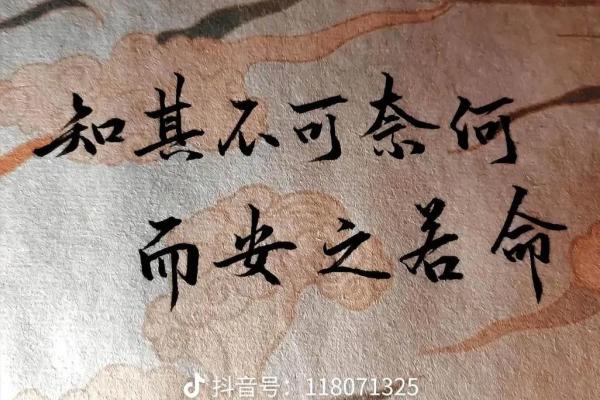 天命之命：解读命运与人生的奥秘