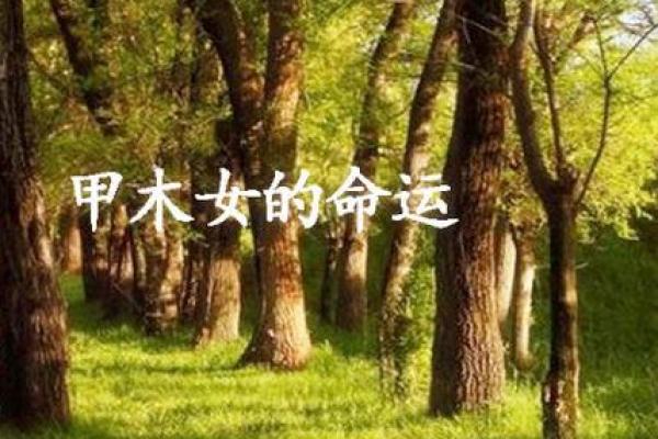 探寻1995年出生女孩的命运：她们的特质与机遇