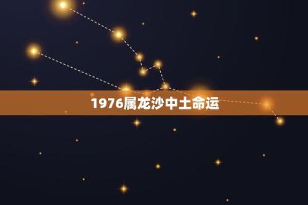 2002年出生属龙人的命运与人生轨迹解析