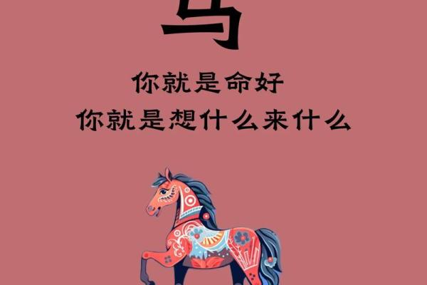 1978年属马，生命的旅程与命运的启示