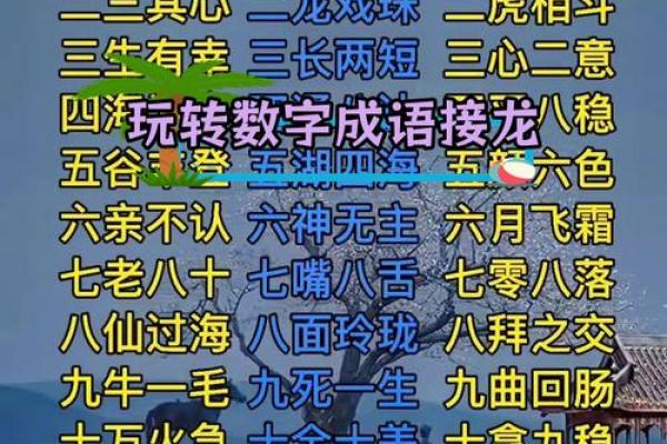 精彩纷呈的成语游戏：让智慧与乐趣同在！