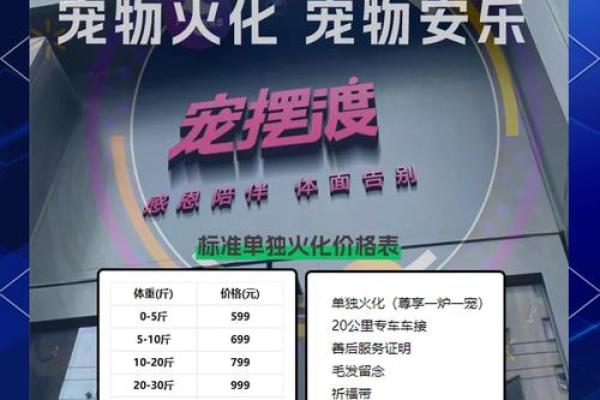 属猪火命者适合养哪些宠物？了解火命之猪的宠物选择指南！