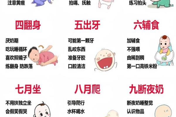 2022年出生宝宝命理解析：属什么命，如何培育健康快乐成长！