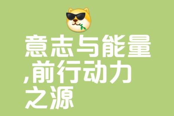探索命理启运方法，开启人生新篇章