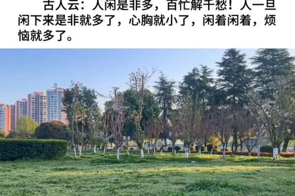 人闲心不闲，命运如何解析？