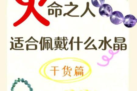 属猪火命者适合养哪些宠物？了解火命之猪的宠物选择指南！