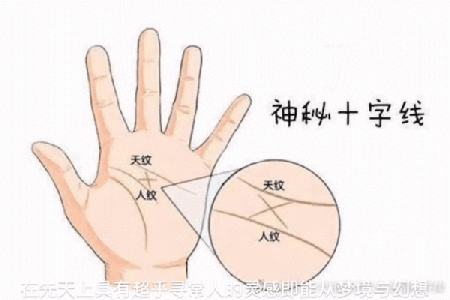 手掌如此柔软，背后隐藏着什么命运？探秘掌纹与性格的奥秘！