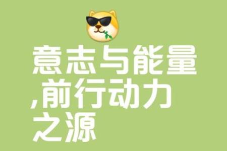 探索命理启运方法，开启人生新篇章