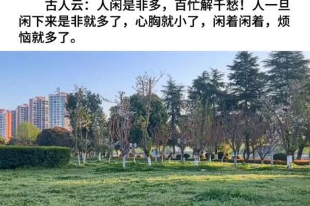 人闲心不闲，命运如何解析？
