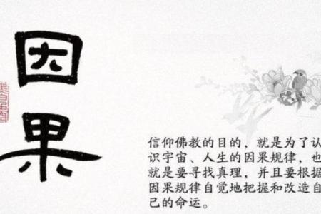 35岁那年出生的命运：一场命理与人生的奇妙交织