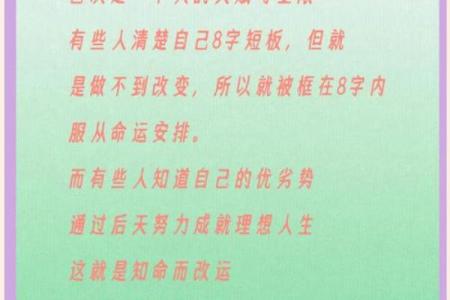 虚岁27属狗的人生命运与性格解析：如何把握未来的机遇与挑战