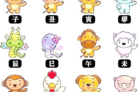 属相与财富：哪些属相女性更可能拥有富贵命运？