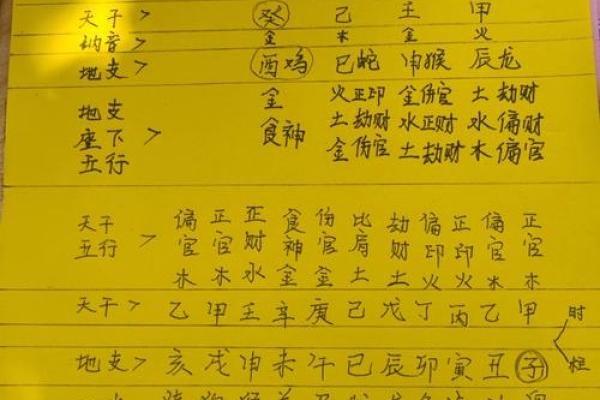 探索鸡在五行中的命理奥秘与生活智慧