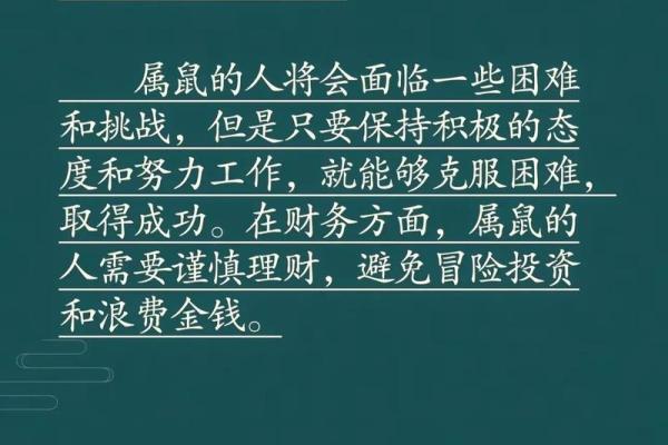 鼠年生肖在11月的命运与运势解析，提升你的生活品质！