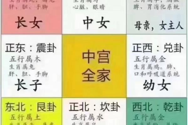 火命人招财的布局与风水秘诀