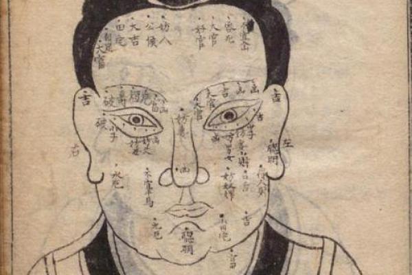 手掌面相解析：揭示男命命运的秘密与人生轨迹