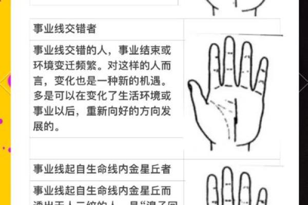 手掌面相解析：揭示男命命运的秘密与人生轨迹
