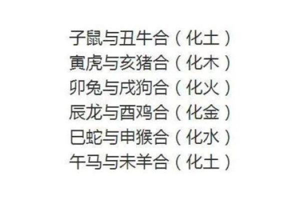 属什么就是什么，命运与生肖的美妙交织