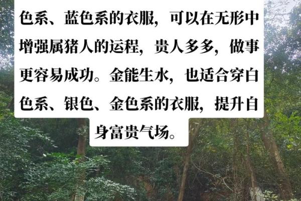 属猪大海水命佩戴什么？提升运势与魅力的方法！