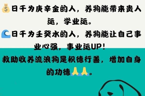 属狗女性如何把握旺运，助力事业与人生的幸福之路