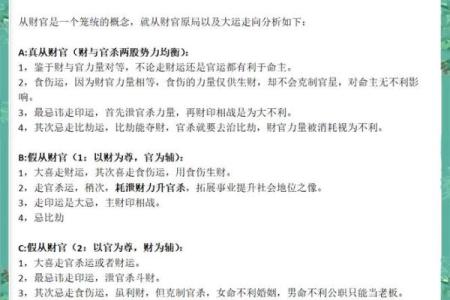 适合做官的人命格解析：与生俱来的领导才能与智慧