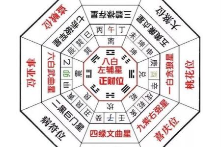 属相与命理：如何选择旺财风水花卉的方法解析