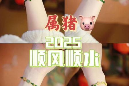 属猪大海水命佩戴什么？提升运势与魅力的方法！