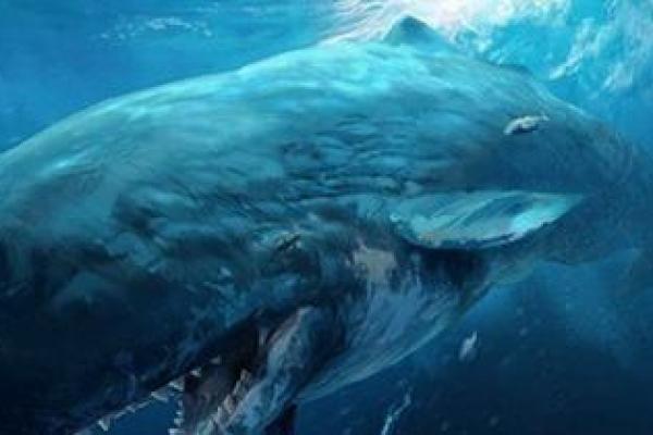 揭秘海洋巨兽：地球上最长的生物及其神秘生活