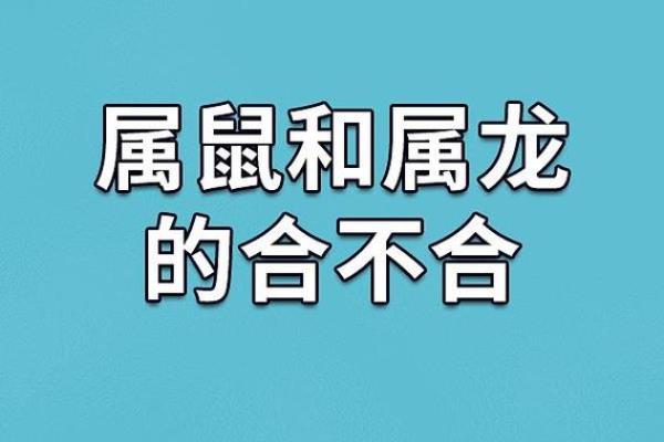 36岁属鼠的命运解析：探寻人生的秘密和机遇