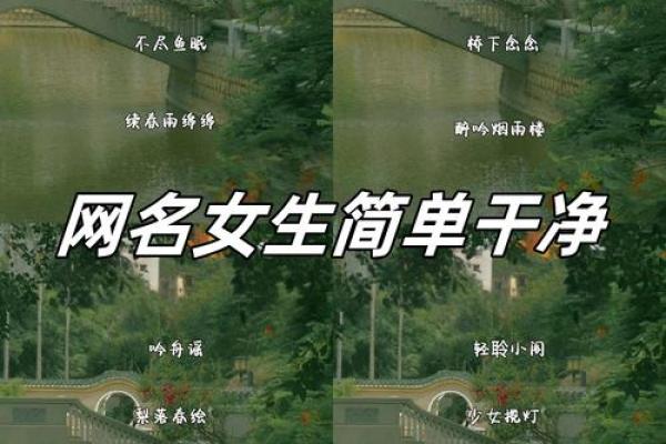 根据木命，选择好听的网名，让你在网络世界更具魅力！