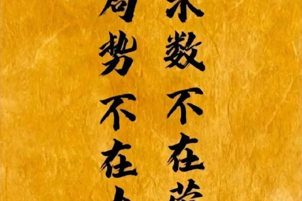 以财养命：探秘财富与命运的神秘联系
