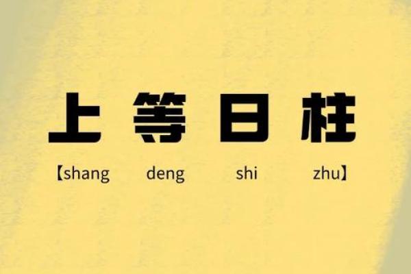 探索金命日柱：铸就辉煌人生的秘密之钥