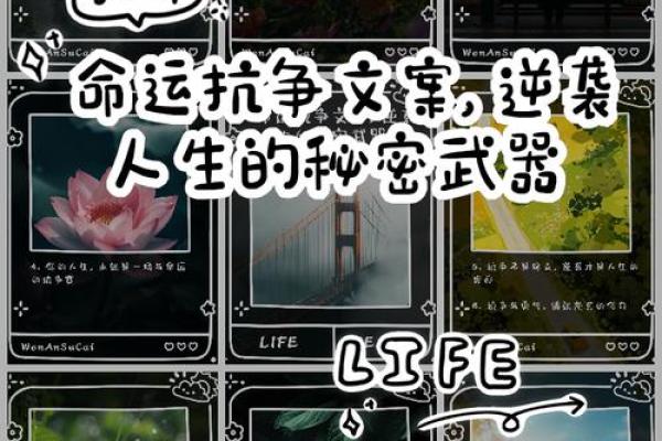 探索金命日柱：铸就辉煌人生的秘密之钥
